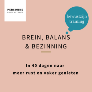 Training Brein, Balans & Bezinning